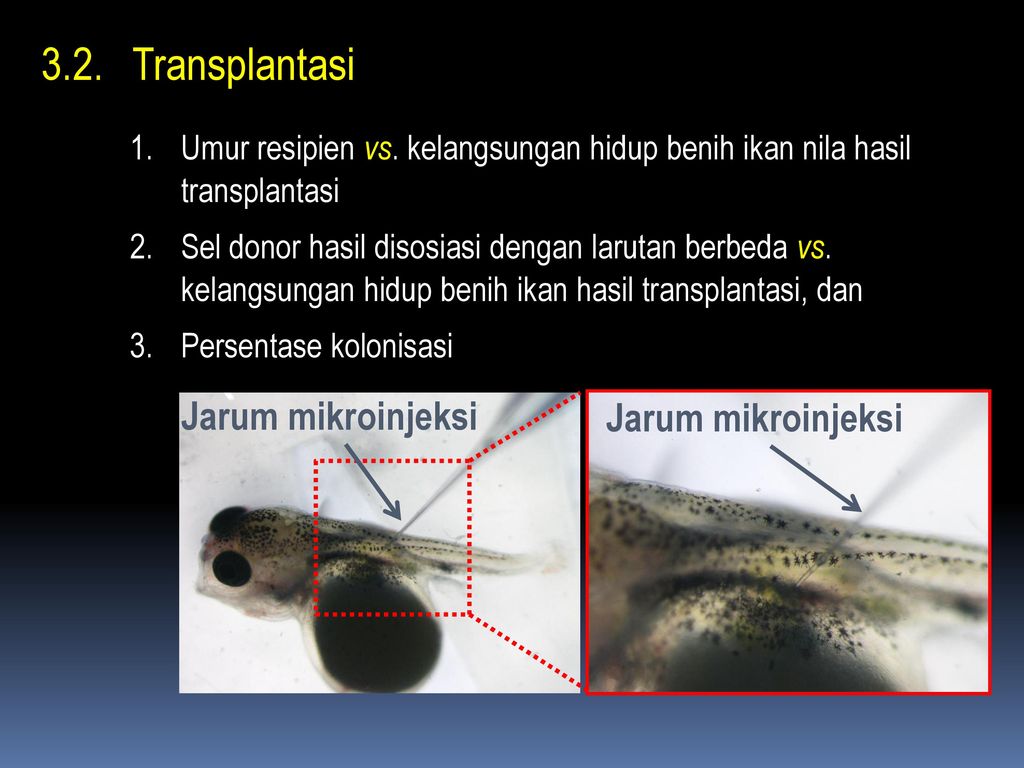 TEKNOLOGI TRANSPLANTASI SEL TESTIKULAR DALAM REKAYASA PRODUKSI TELUR